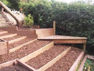 Steep garden sorted, bark paths and planting boxes